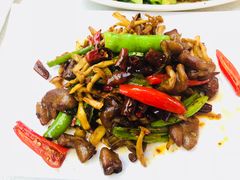 鲜椒菌菇爆肥肠-港久茶餐厅(鹭洲里店)