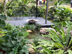 -深圳仙湖植物园