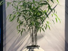 -晟永興烤鸭店(五道口店)