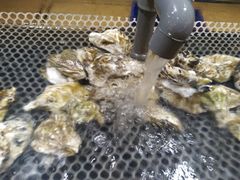 -鲤鱼门渔人码头自助餐厅
