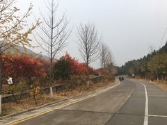 -北京十三陵国家森林公园蟒山景区