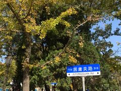 -八大关景区