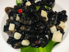 -三强鸽子(胜利路店)