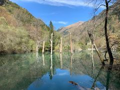 -叠溪松坪沟景区