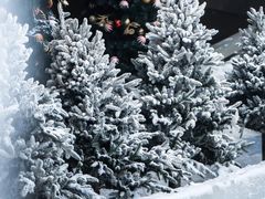 -世界之窗阿尔卑斯冰雪世界