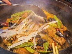 -挂雪铁锅炖大鹅