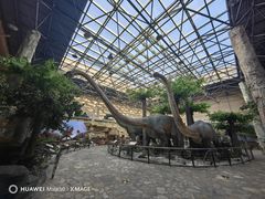 -国家自然博物馆