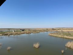 -盐城丹顶鹤湿地生态旅游区