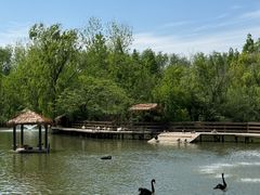 -溱湖国家湿地公园