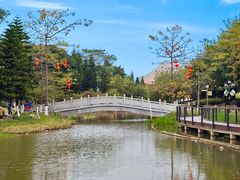 -映月湖公园