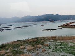 -北岐滩涂