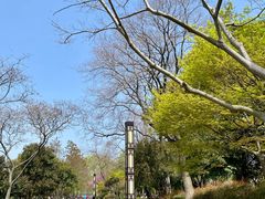 -枫桥景区