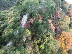 -少华山国家森林公园