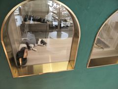 -飞行喵MR PILOT|猫舍·猫咖(静安大融城店)