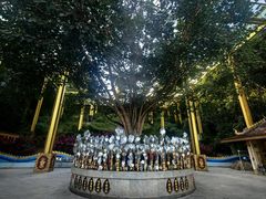 -西双版纳勐泐文化旅游区