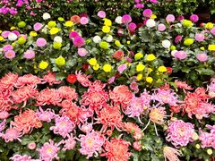 -昆明市金殿名胜区