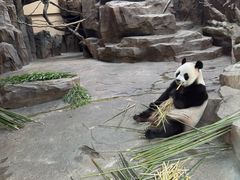 -宁波野生动物园