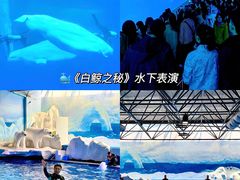 -秦皇岛乐岛海洋王国