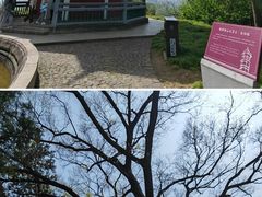 -无锡梅园公园