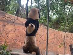 -乐和乐都主题乐园