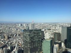 -东京都厅舍