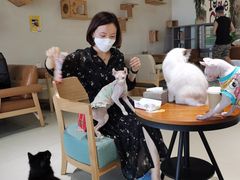 -藏猫猫咖啡主题馆(中央大道店)