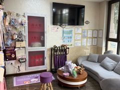 -宠爱国际动物医院·消化内科·心肾内科·ISFM猫友好(望京店)