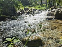 -玉渡山自然风景区