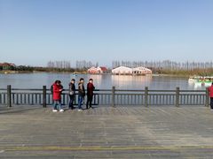 -上海长兴岛郊野公园