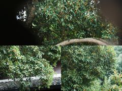 -宁波市保国寺古建筑博物馆