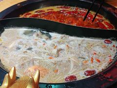 -蜀大侠火锅(森兰花园城店)