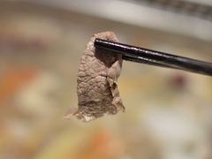 -九府羊·鲜羊火锅·烤串(新华路店)