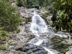 -海南热带雨林国家公园吊罗山景区