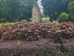-荔香公园