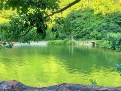 -秦岭终南山世界地质公园翠华山景区