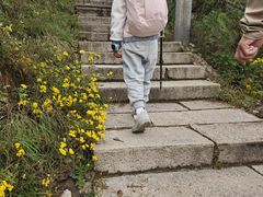 -北京凤凰岭