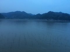-北岐滩涂