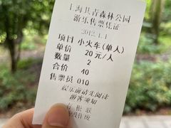 -上海共青森林公园