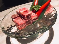-汤城·料青山