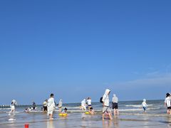 -日照海滨国家森林公园