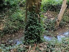 -兰亭风景区