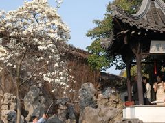 -何园