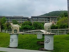 -宁波九龙湖开元度假村