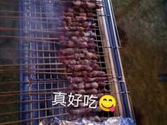 -前小桔亲子创意农场·草莓采摘·露营烧烤