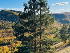 -莫尔道嘎国家森林公园