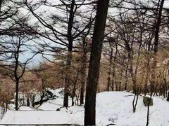 -崂山巨峰游览区