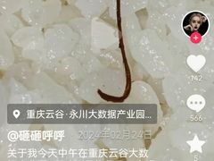 -约翰·菲茨杰拉德·肯尼迪国际机场