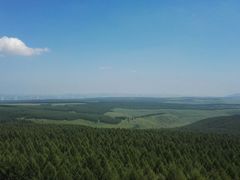 -塞罕坝国家级自然保护区