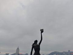 -星光大道