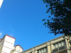 -上海交通大学医学院附属瑞金医院(总院)